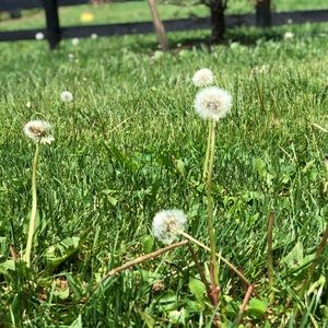 Hello shopping people!!!